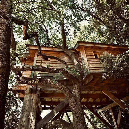 Aura Cabana Pensión 4*